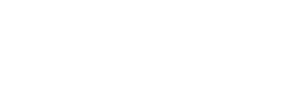 Raíz